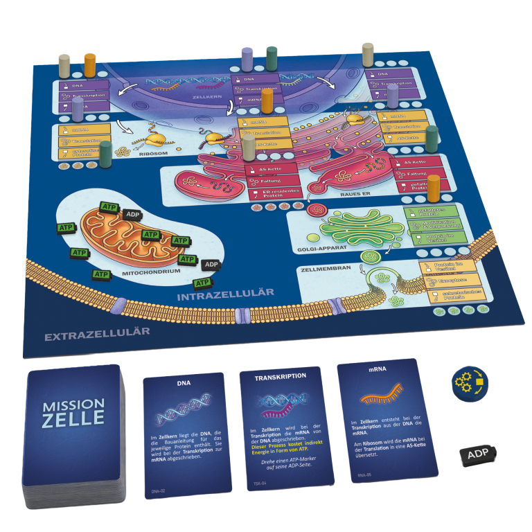 Mission Zelle Spielaufbau Spielbrett des Spiels "Mission Zelle" zum Thema Zellorganellen und intrazellulärer Transport